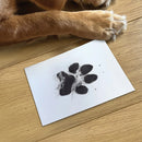 Dog Cat Paw Print Pad Safe Non-toxic Pet Nose Print Souvenir DIY Customized Gift Puppy Kitten Stamp Footprint Accessories