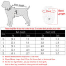 Autumn Winter Warm Dog Clothes for Small Dogs Cats Outdoor Soft Cozy Fleece Jacket Vest Coat Pet Chihuahua Yorkies Corgi Costume