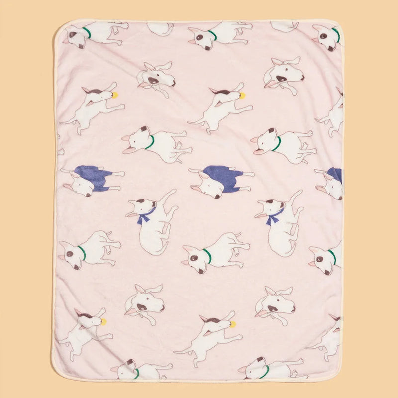 49455926772048|49455926804816|49455926837584