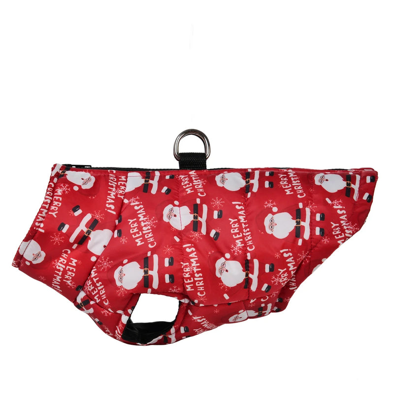 49453611811152|49453611909456|49453612269904|49453612466512|49453612564816|49453612695888